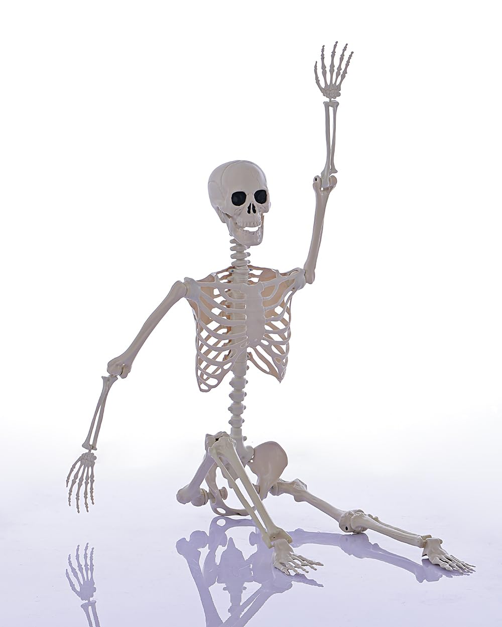 Life Size Posable Full Body Skeleton with Movable Joints J923