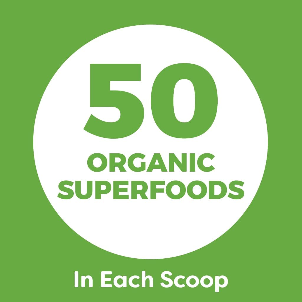 Organic Plant Based Protein Powder Vanilla Bean 2.74 Pound F1630