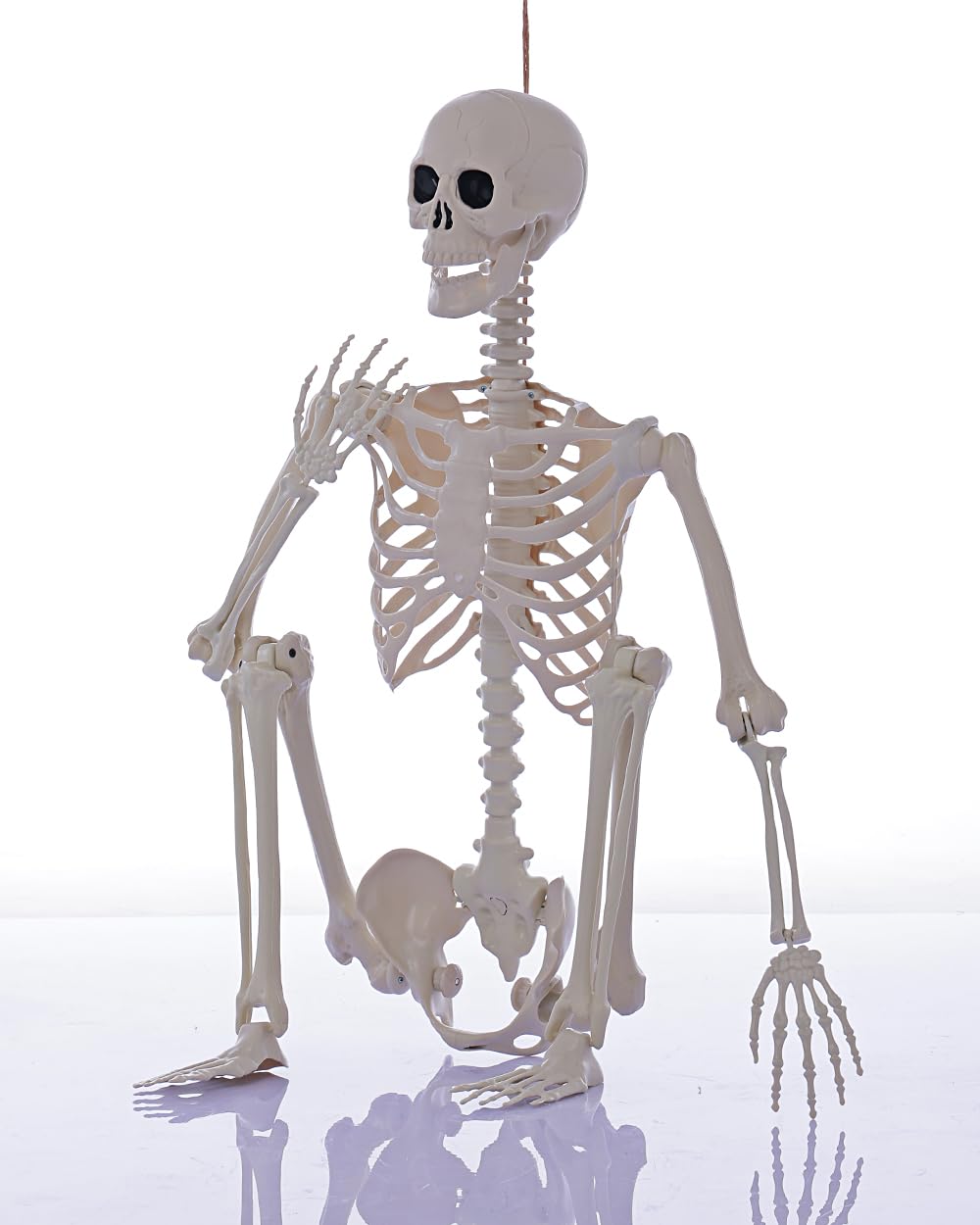 Life Size Posable Full Body Skeleton with Movable Joints J923