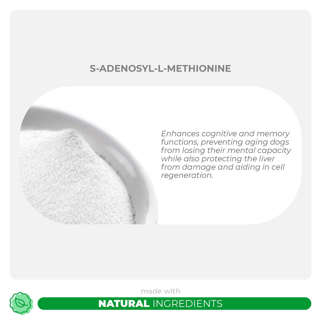Milk Thistle and S-Adenosyl-L-Methionine Bundle L31244