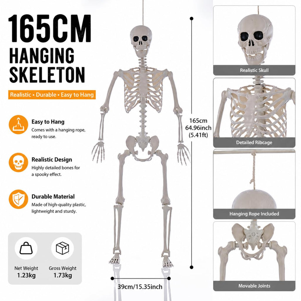 Life Size Posable Full Body Skeleton with Movable Joints J923