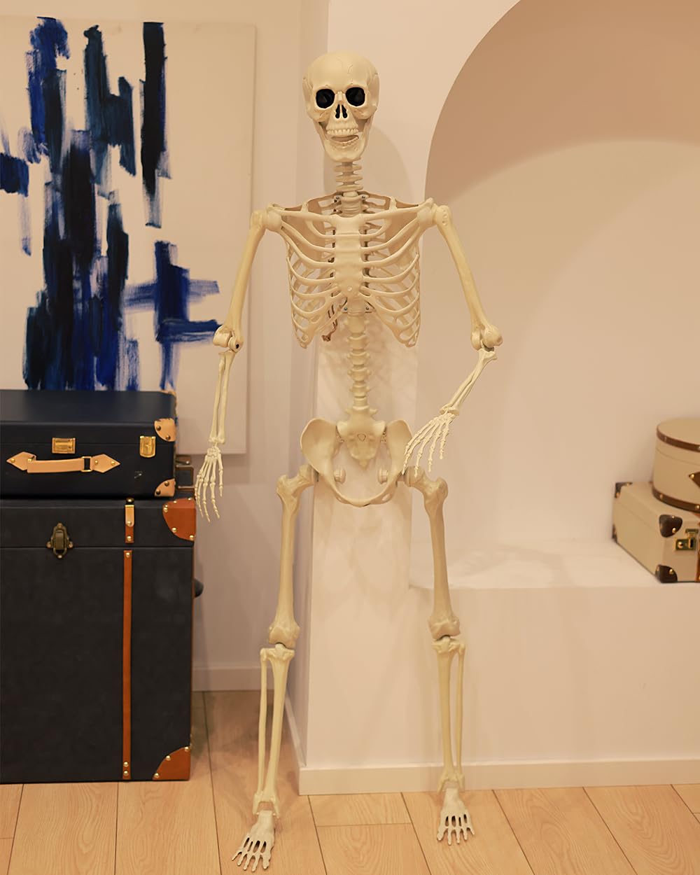 Life Size Posable Full Body Skeleton with Movable Joints J923