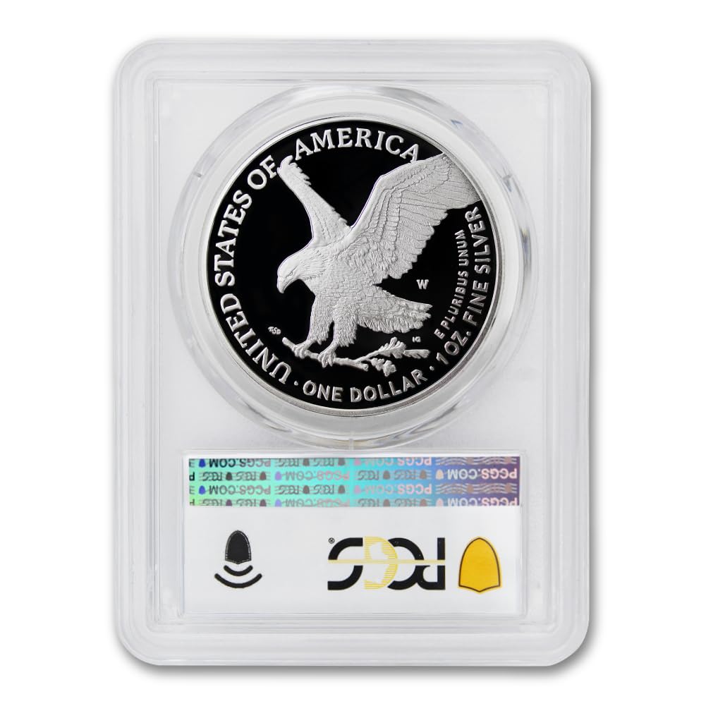 1 oz American Silver Eagle Coin E81340
