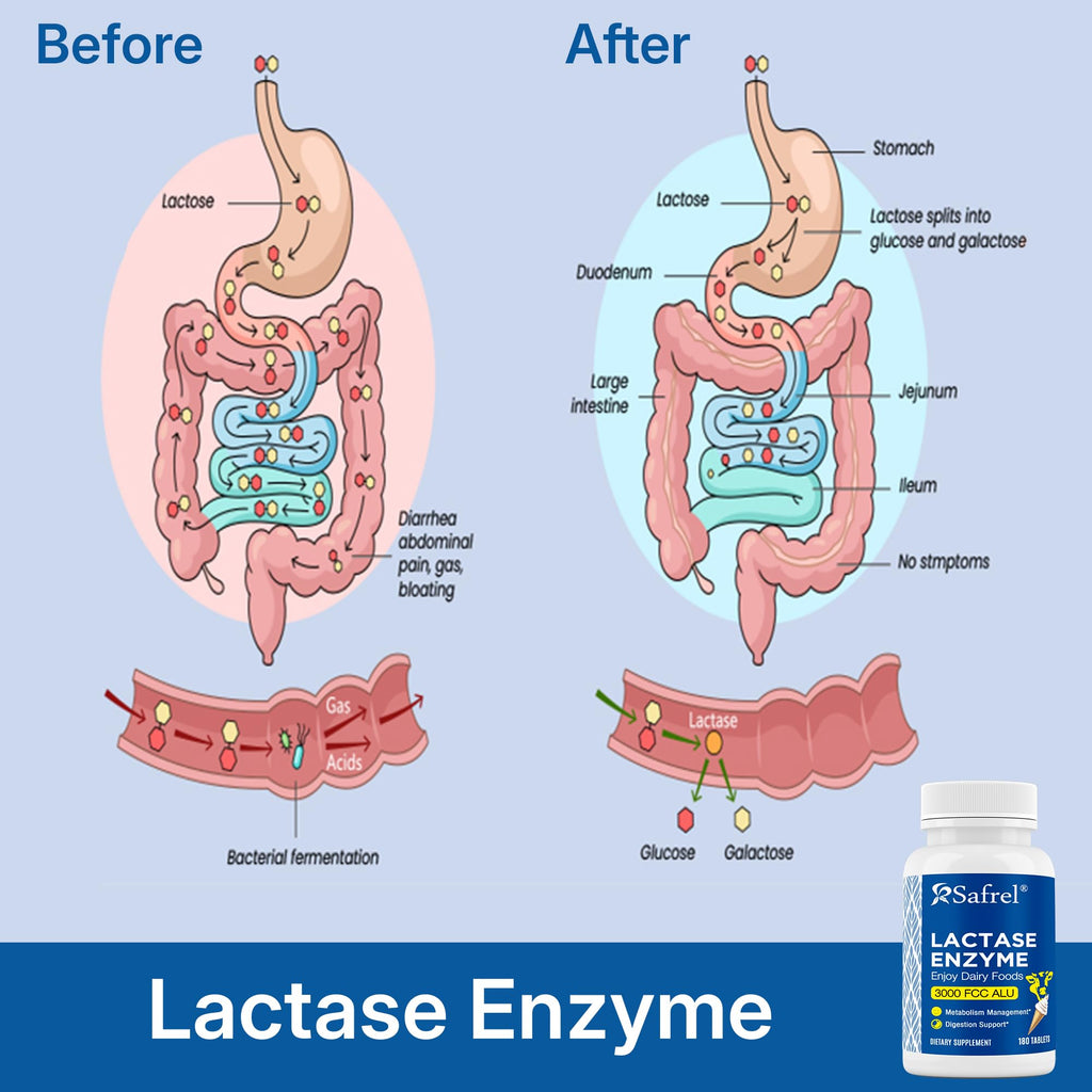 Unflavored Lactase Enzyme Tablets 180 Ct K349
