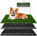 3 Layer Dog Grass Pad with Tray 30" x 20" D460299