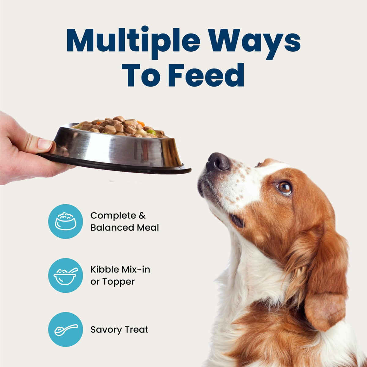 Wet Dog Food 12.5 oz 6 ct E208