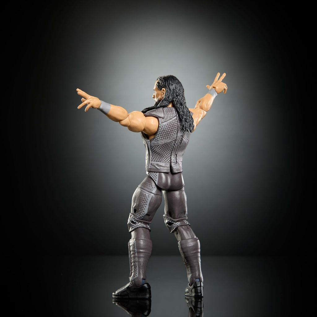 WWE Action Figure & Accessories P610134