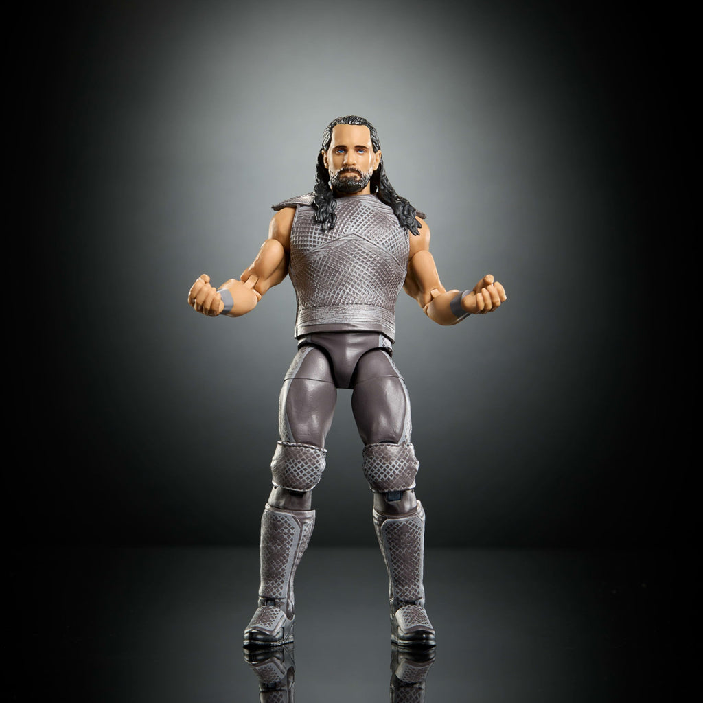 WWE Action Figure & Accessories P610134