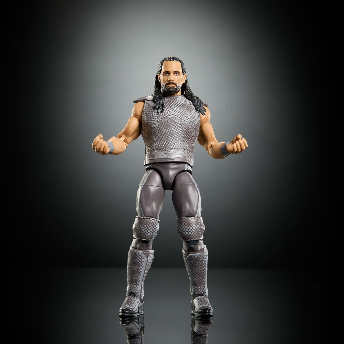 WWE Action Figure & Accessories P610134