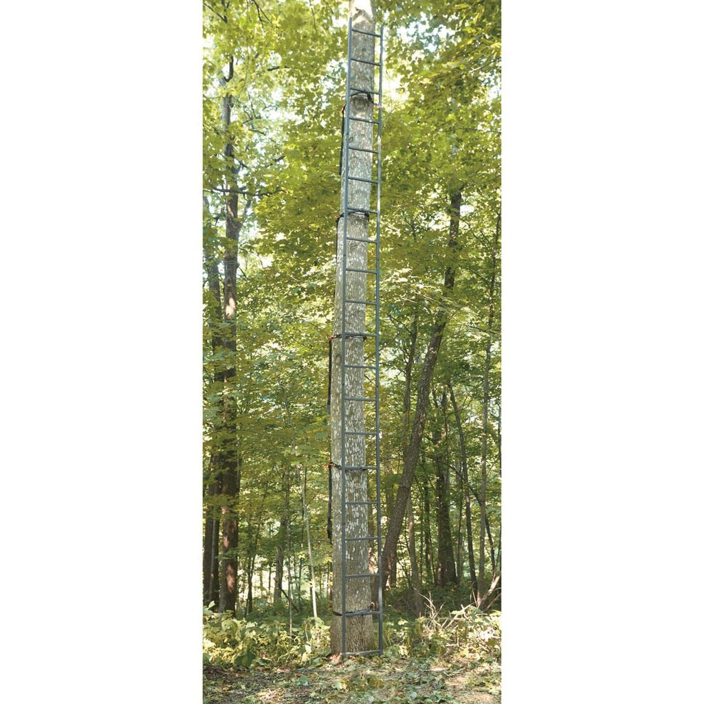 Ladder Climbing Equipment K5036