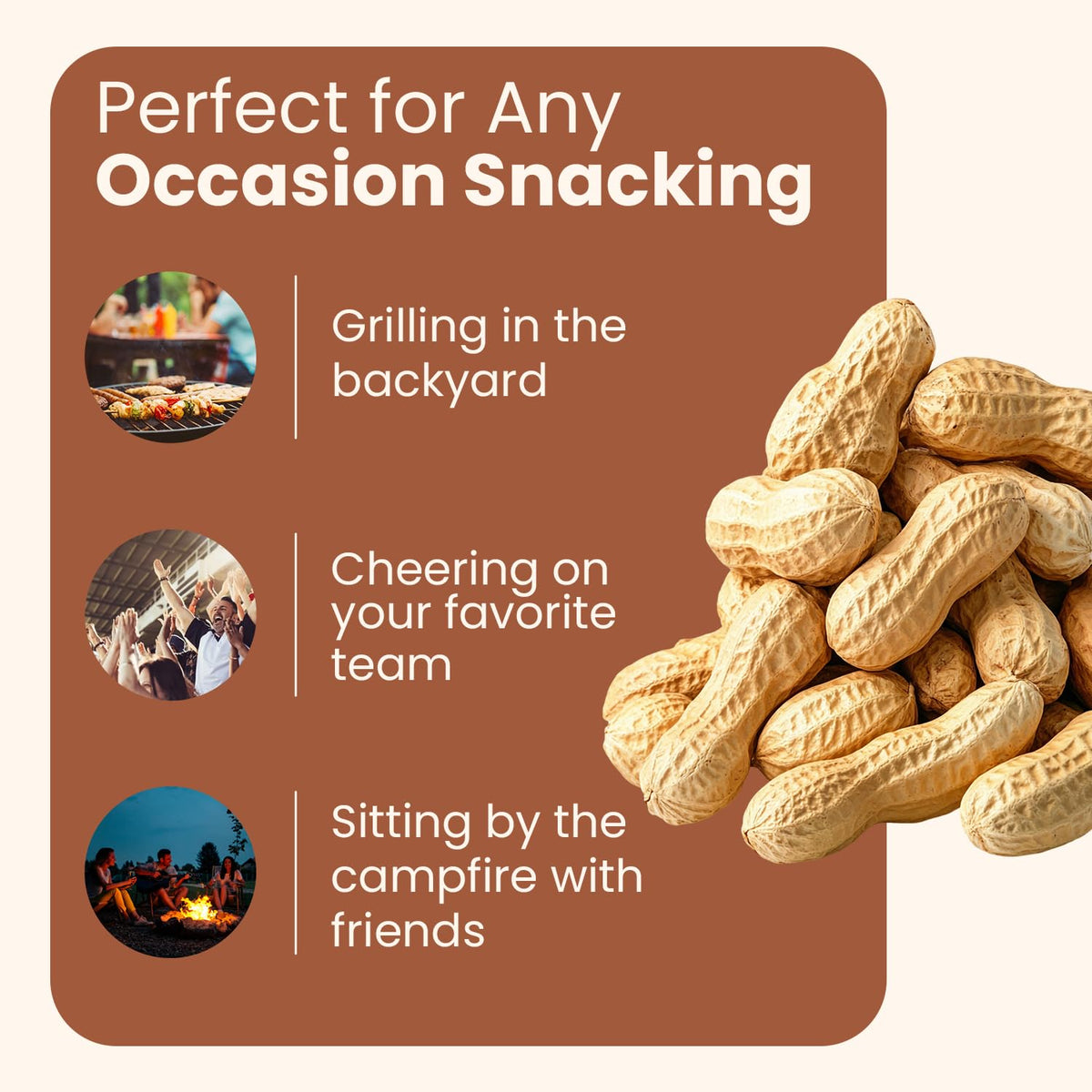 Unsalted Roasted In-Shell Peanuts 5 lb Bag X462