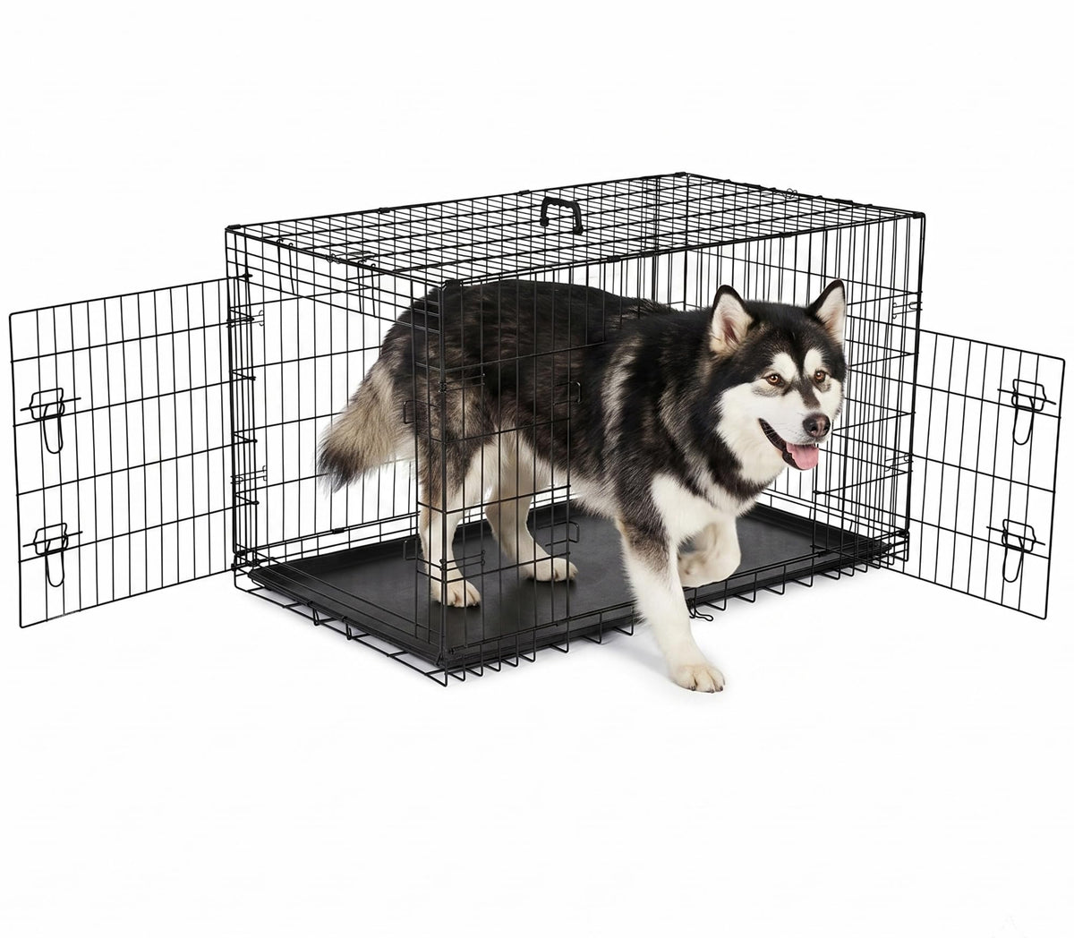 48 inch Folding Metal Wire Dog Crate with Double Door B28549