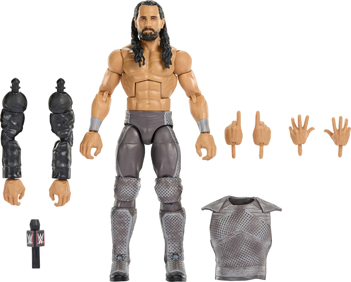 WWE Action Figure & Accessories P610134