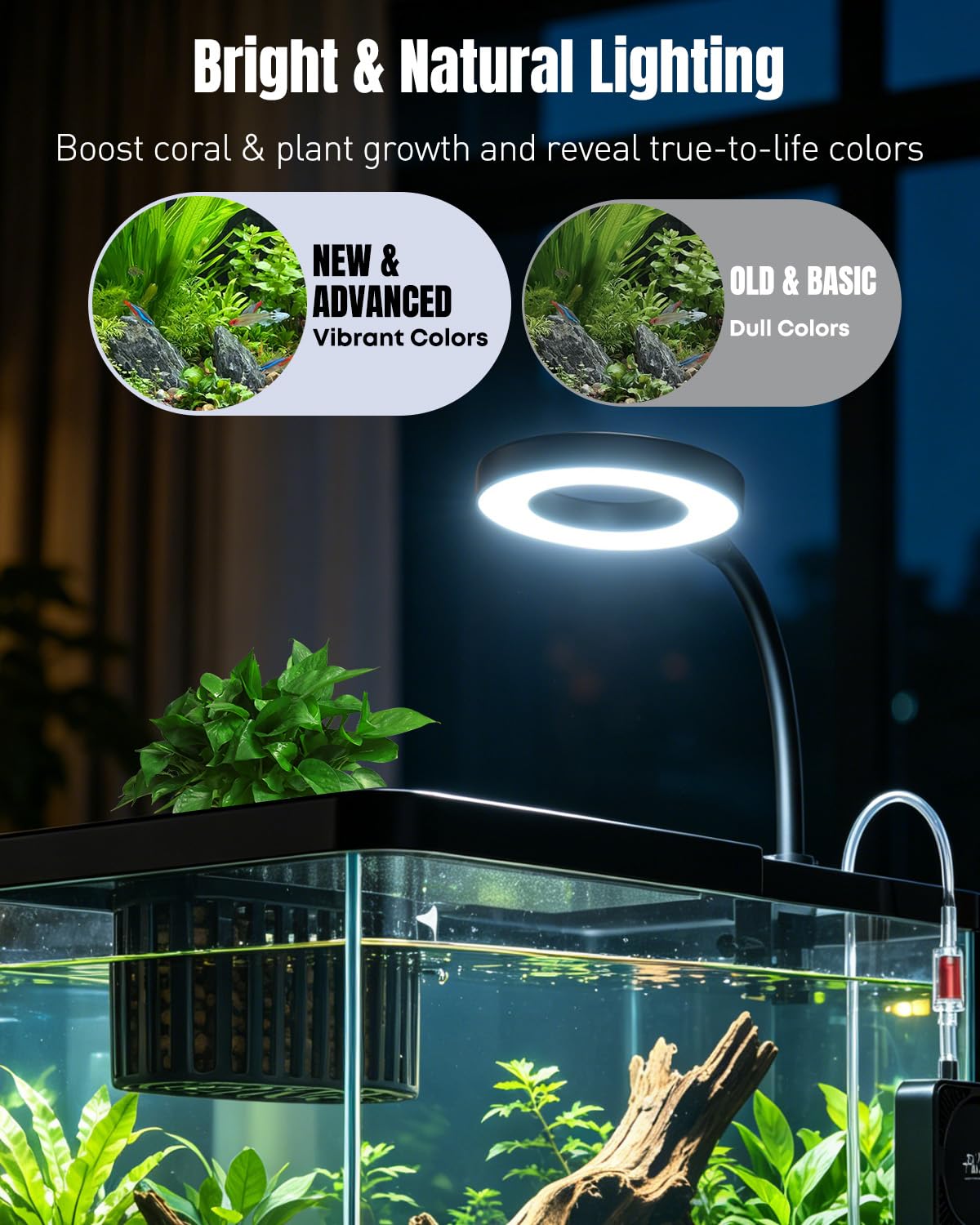 2 Gallon Ultra Clear Aquarium Starter Kit with LED Light, Air Pump, Filter K635
