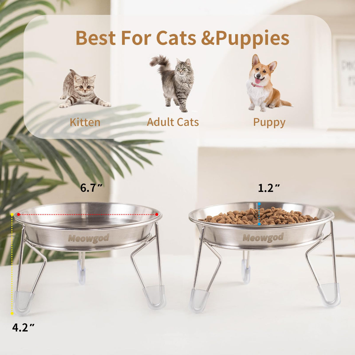 6.7" Elevated Stainless Steel Cat Bowls with Anti-Slip Stand N988