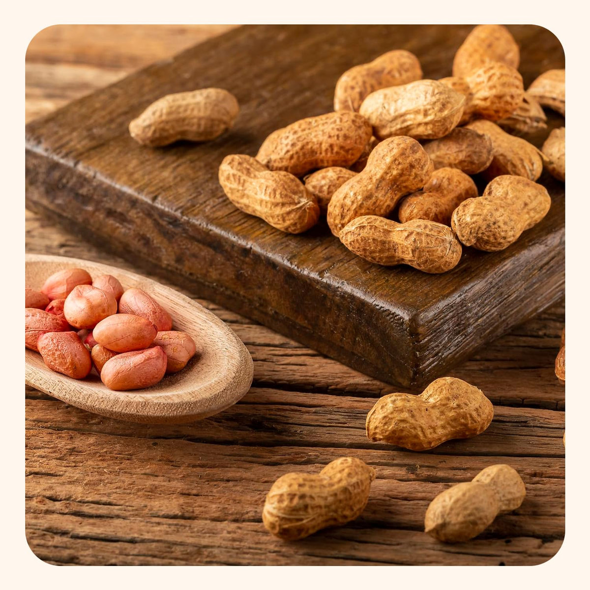 Unsalted Roasted In-Shell Peanuts 5 lb Bag X462