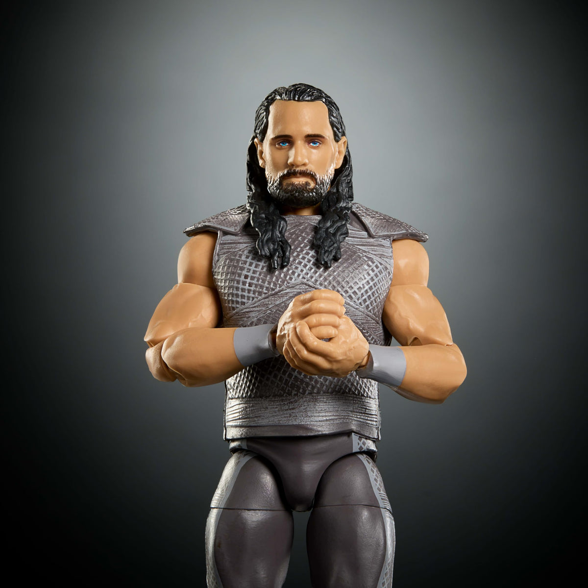 WWE Action Figure & Accessories P610134