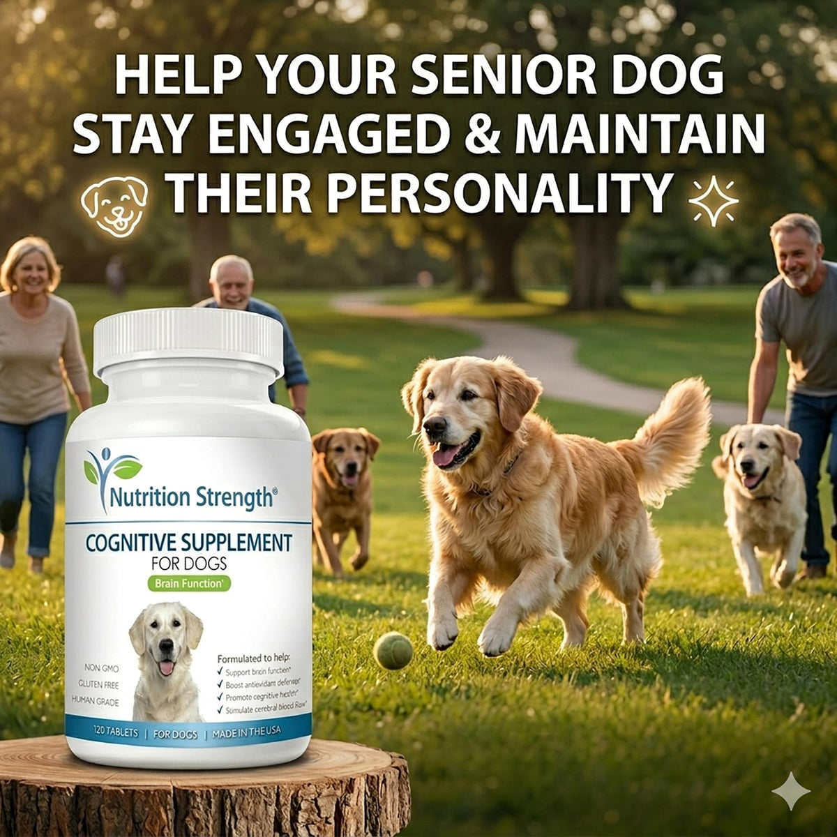 120 Chewable Tablets Cognitive Support Dog Supplement A884106