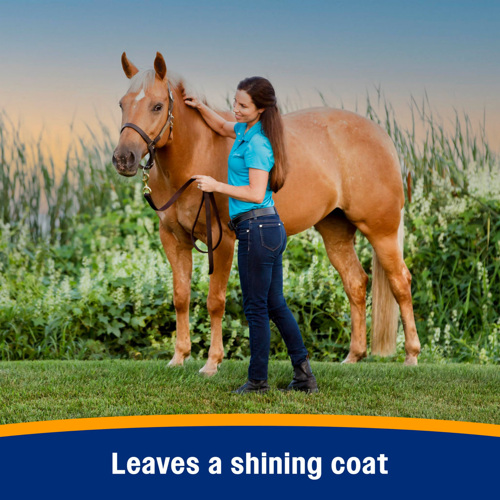 128 oz Horse Fly Spray and Coat Conditioner E653993