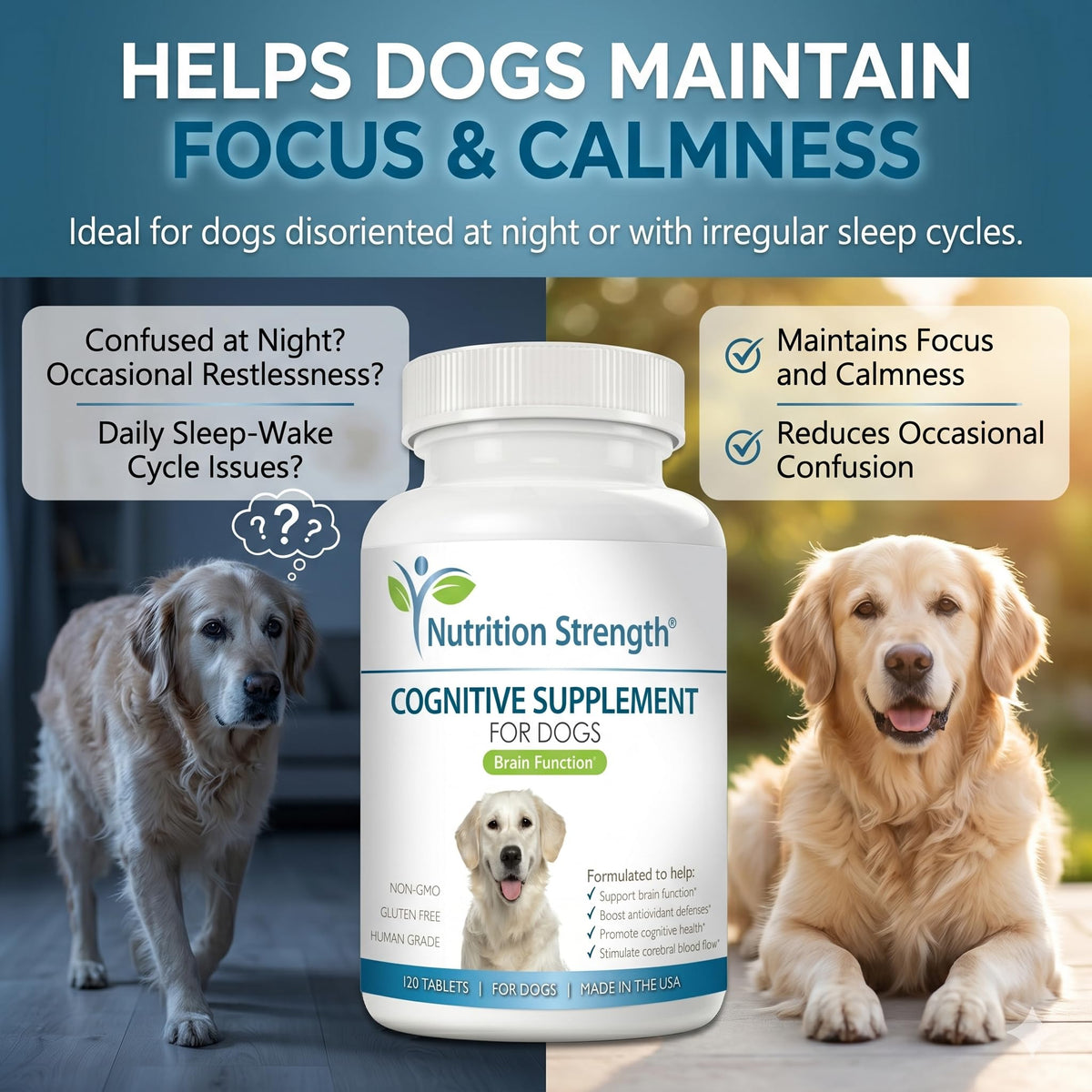 120 Chewable Tablets Cognitive Support Dog Supplement A884106