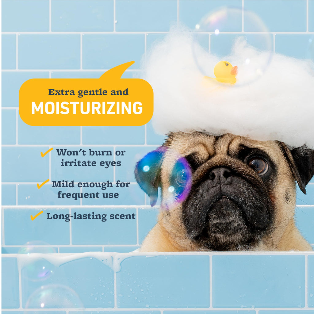 Tearless Dog Shampoo 17oz B350