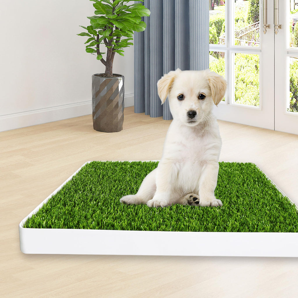 Indoor Fake Grass Pad with Tray U261