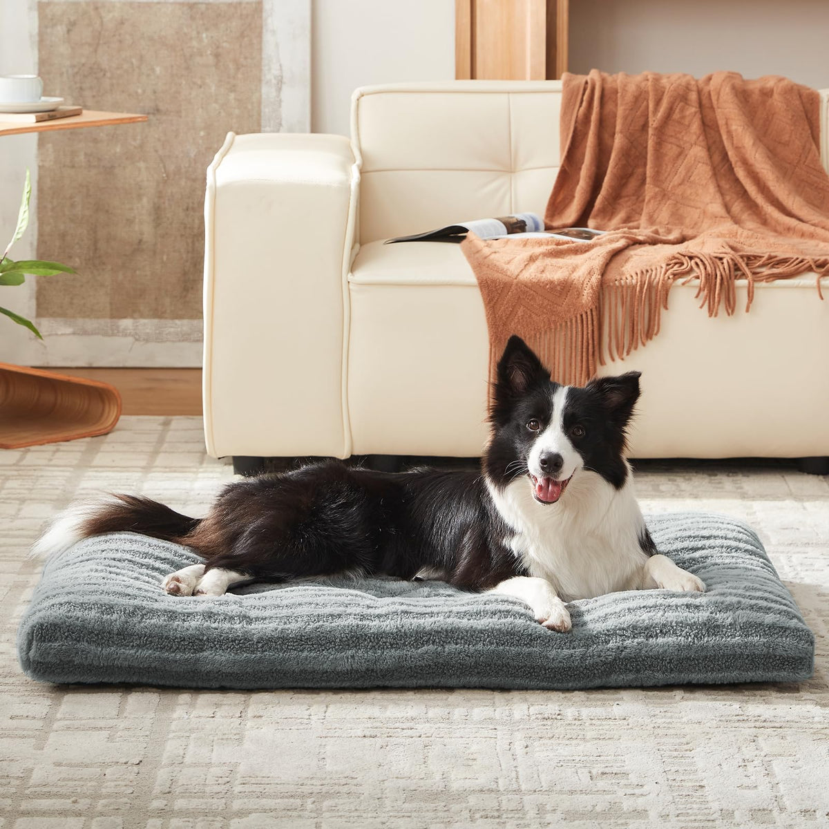 Washable Dog Bed J43460