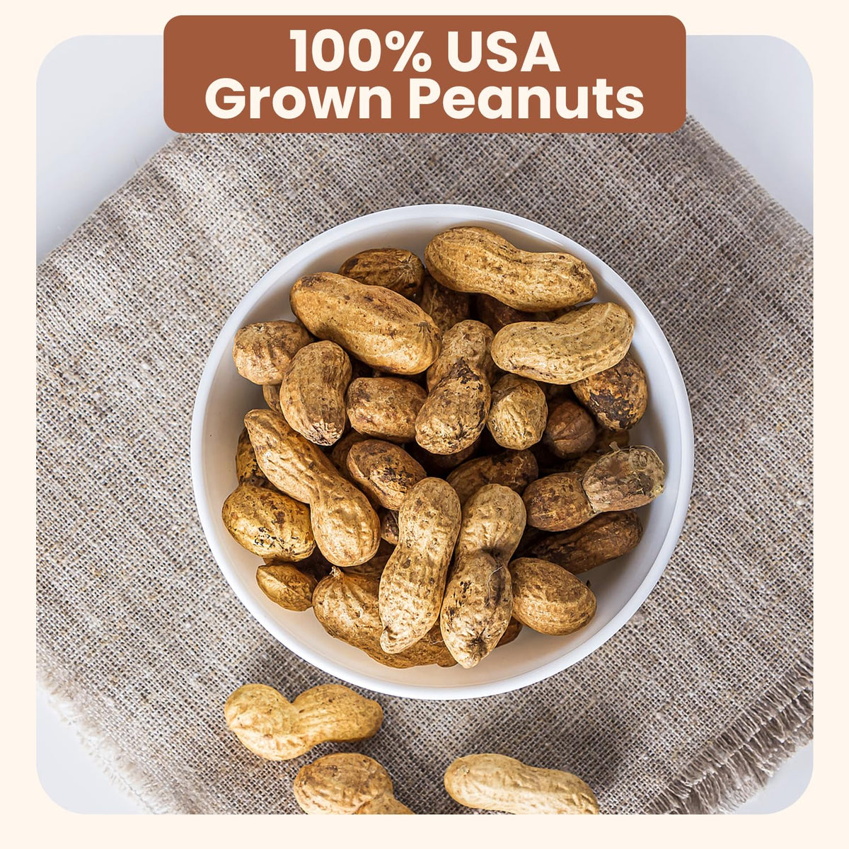 Unsalted Roasted In-Shell Peanuts 5 lb Bag X462