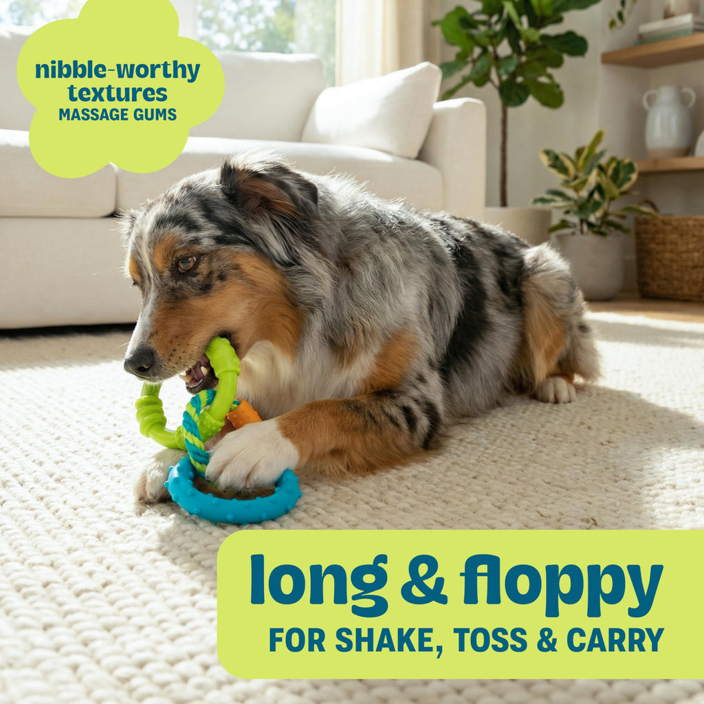 Dog Chew Toy Textured Rings & Woven Rope 8.5" Z696711