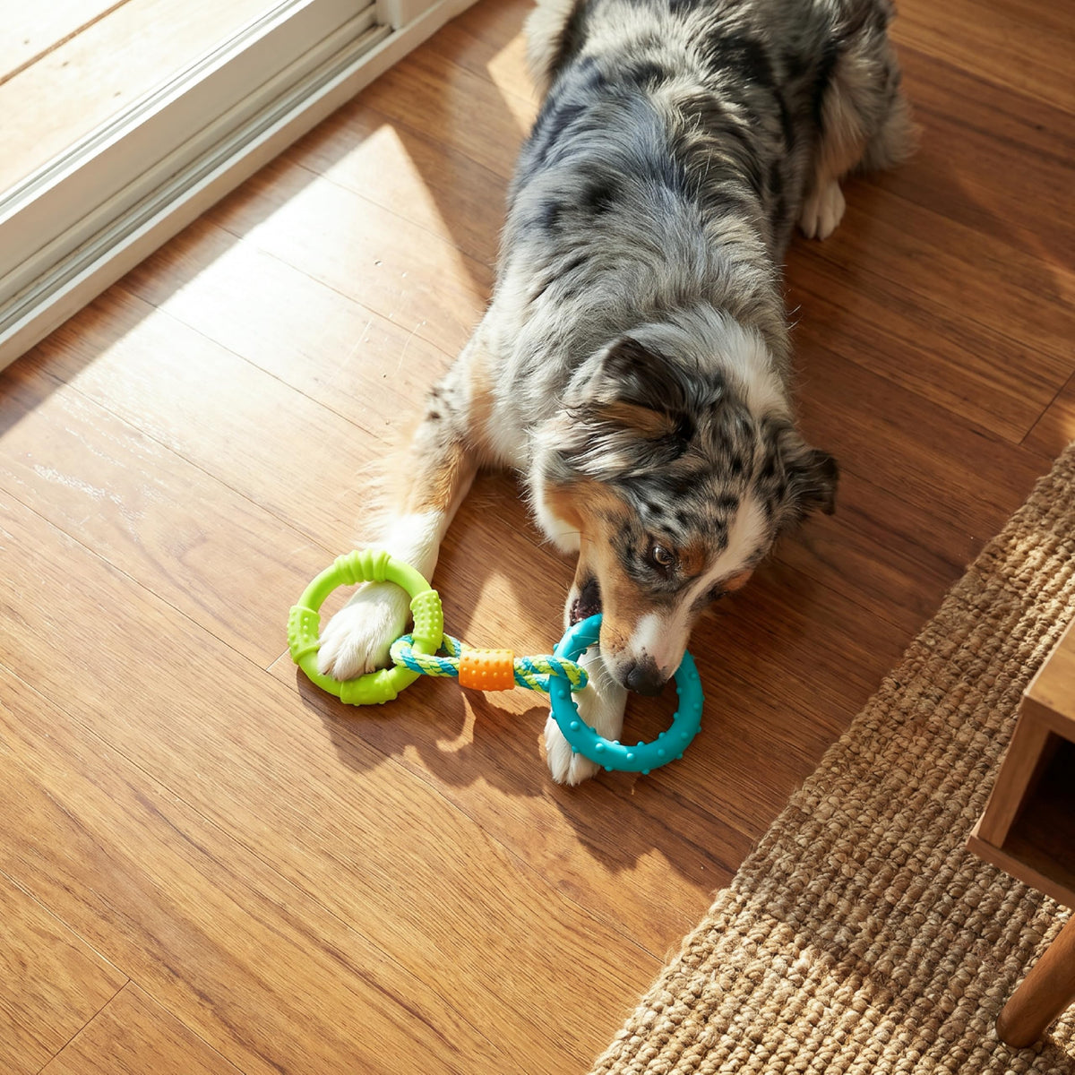 Dog Chew Toy Textured Rings & Woven Rope 8.5" Z696711